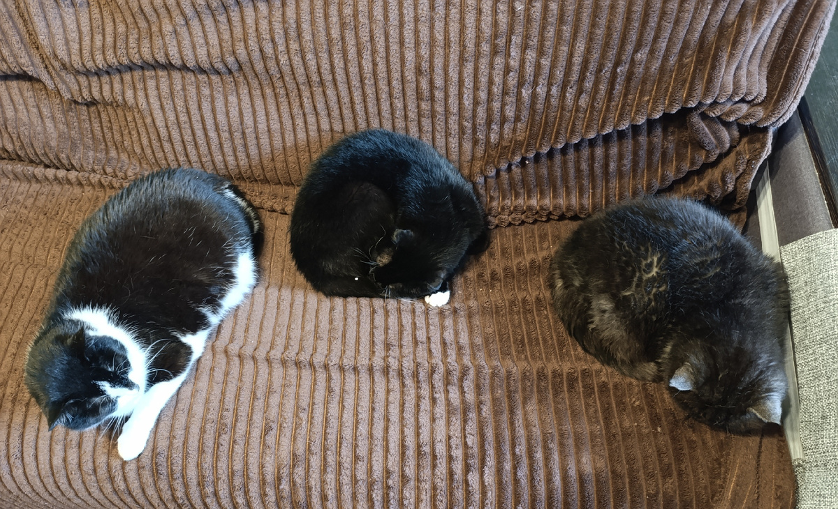 Мои соавторы