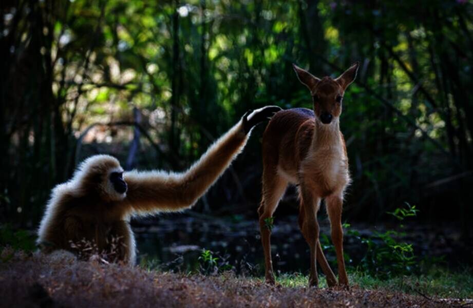    Фото: stock.adobe.com