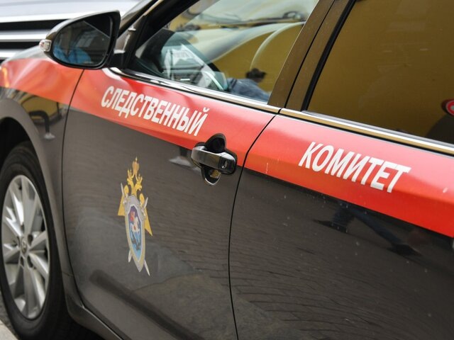    Фото: Москва 24/Антон Великжанин