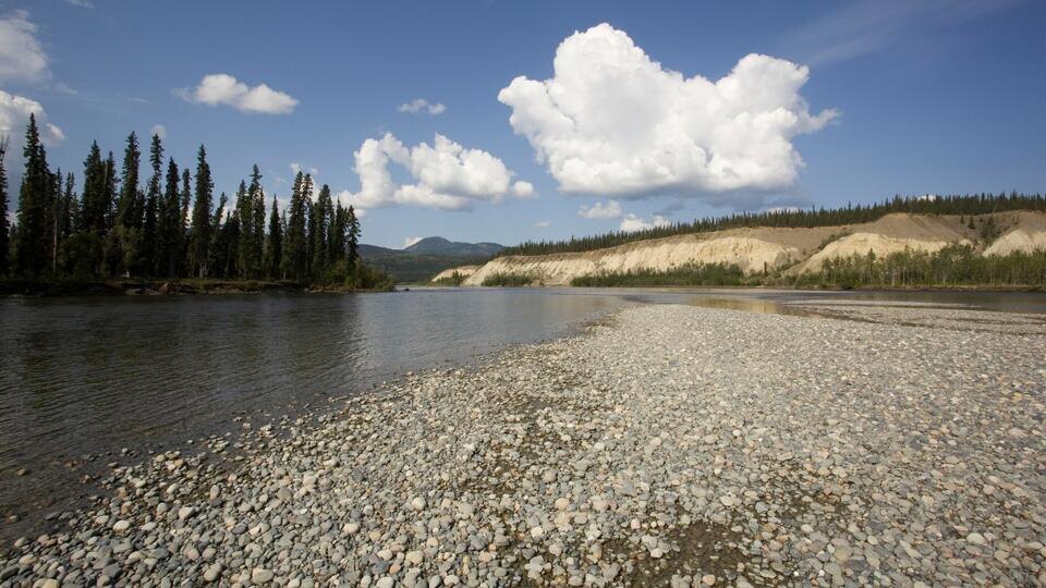 Фото: © www.globallookpress.com/Stefan Wackerhagen/imageBROKER.com