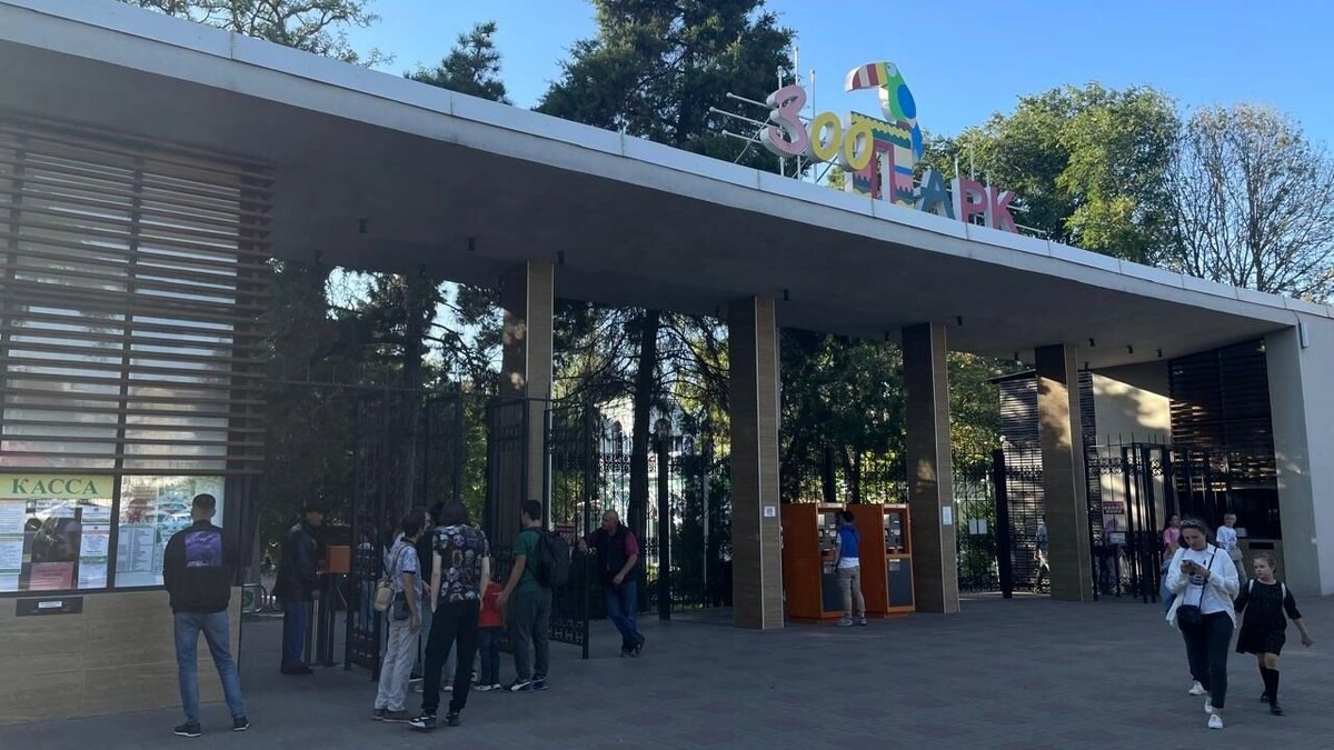     Источник: rostovgazeta.ru