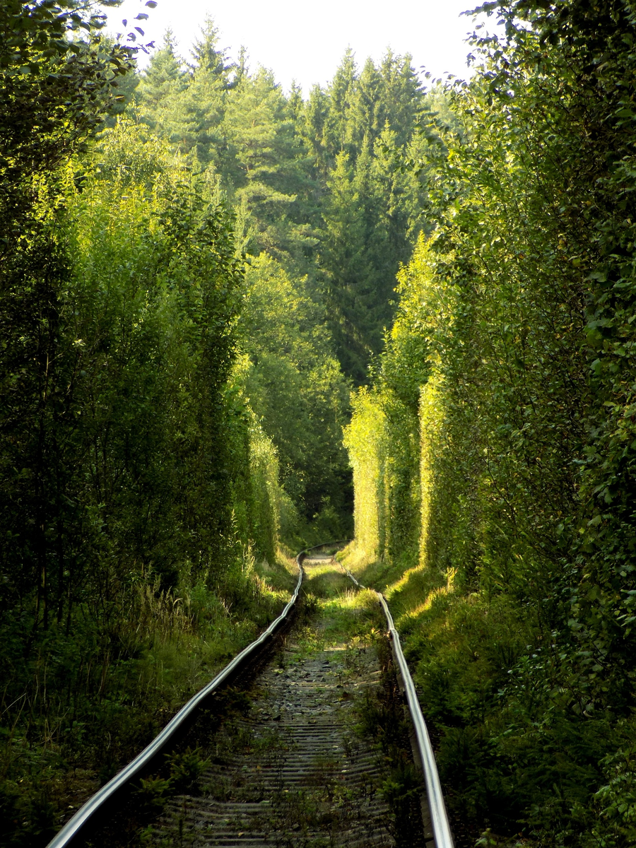 Оригинал взят здесь: https://vk.ru/misimka