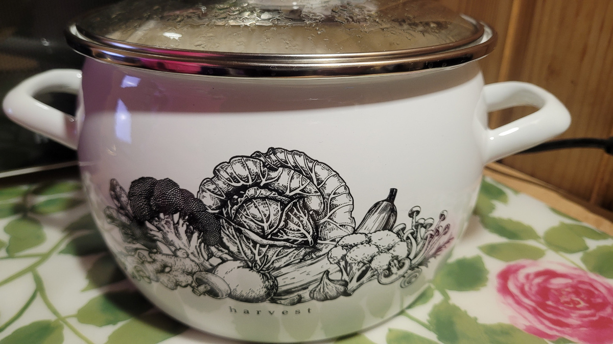 Кастрюля, которую мы купили