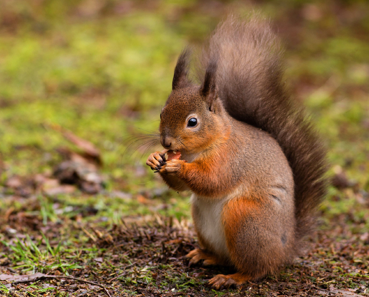 Фото взято из открытого доступа.