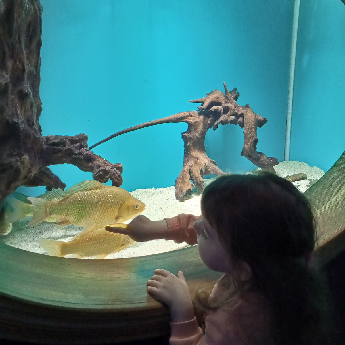 Здесь Эфке 3,4 года.