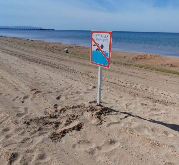    Фото: пресс-служба администрации Краснодарского края