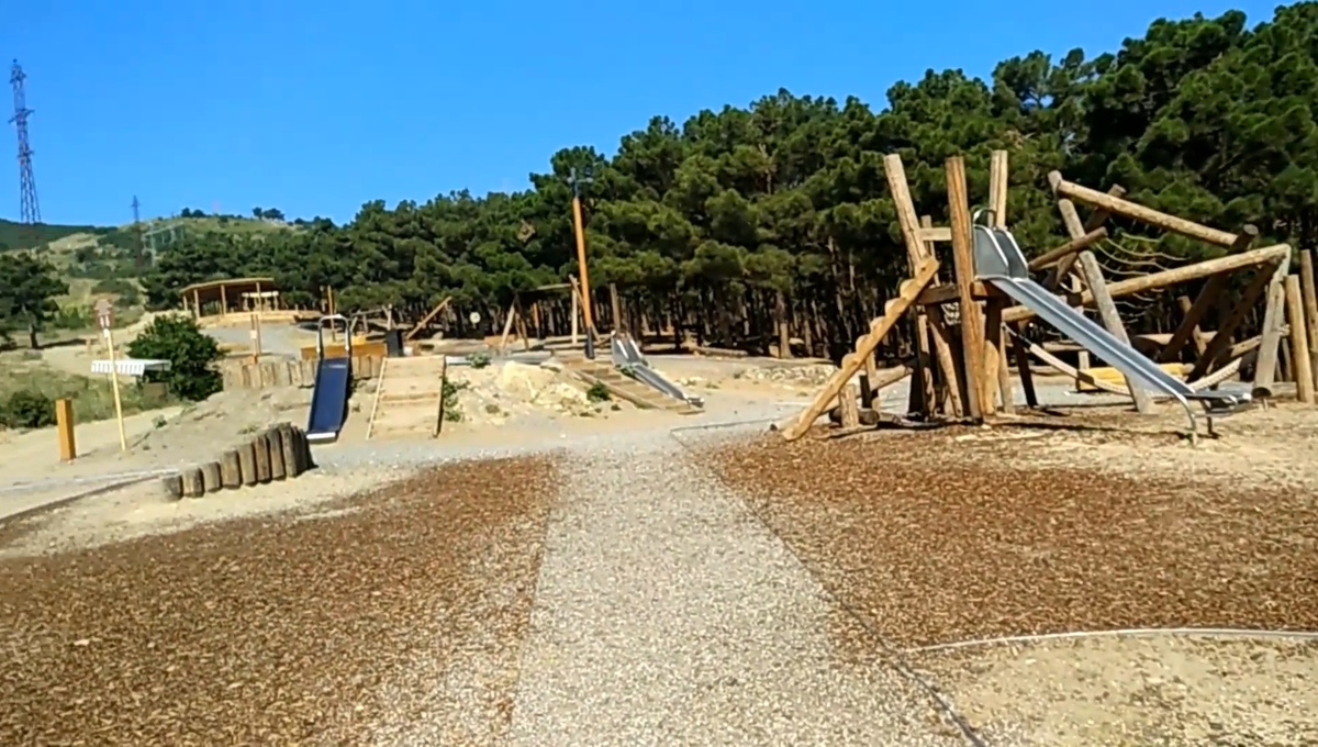 Берегите лес 🌳⛳️🌲 от пожаров 🐦‍🔥