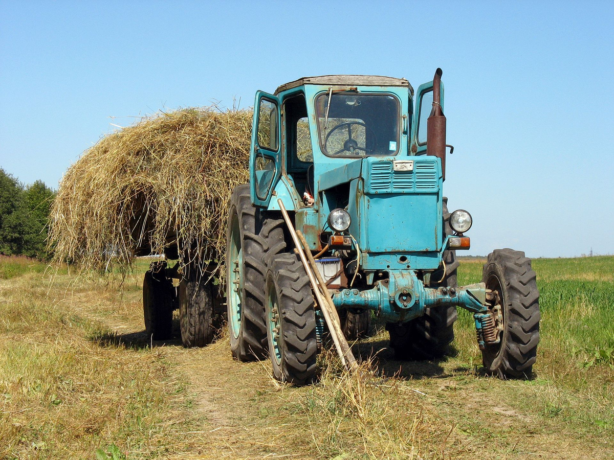 Трактор ЛТЗ в Волгоградской области. Автор: www.volganet.ru (википедия)
