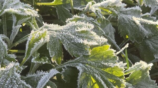    © Sputnik / Виктор Толочко