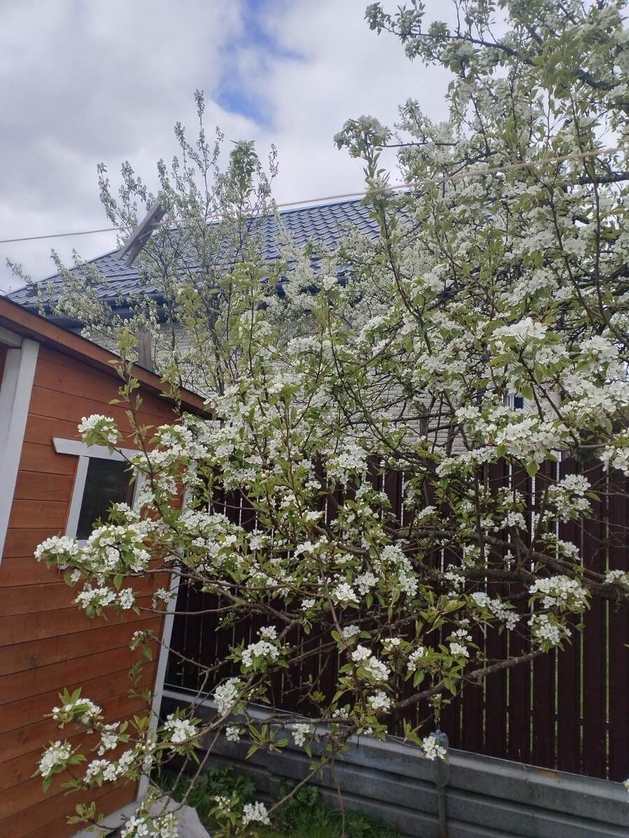 Еще можно загородить листами канавы, чтобы земля не осыпалась.