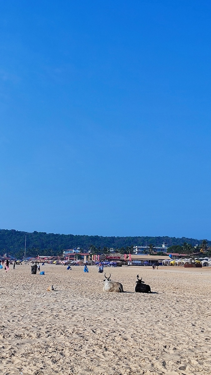 пляж Калангут