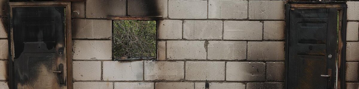    Фото: Антон Вергун