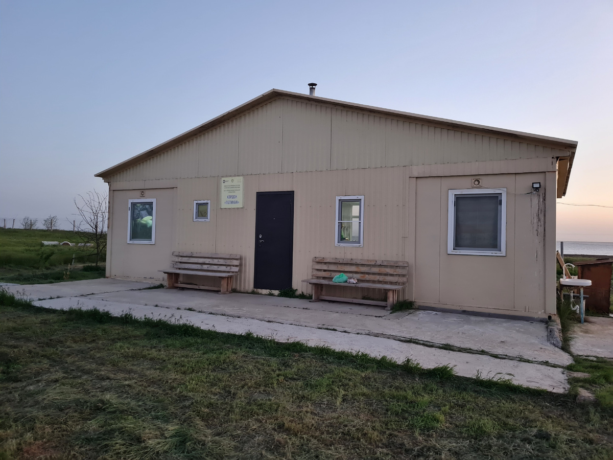 Кордон Пеликан