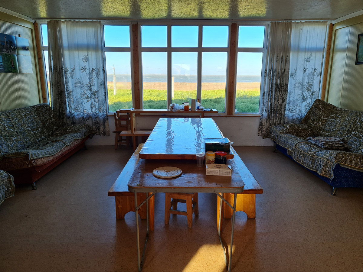 Кают-компания