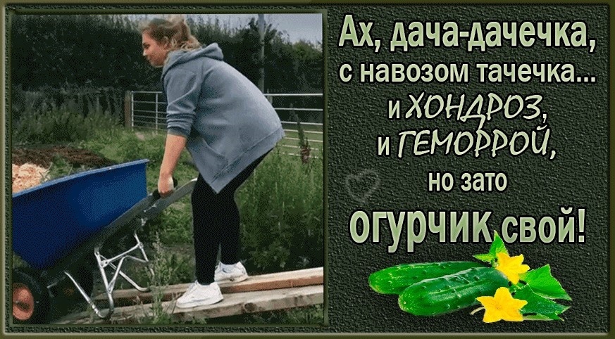 Из открытого источник