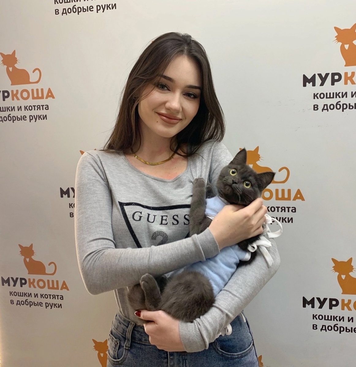 Выпускница приюта – кошечка Гина.