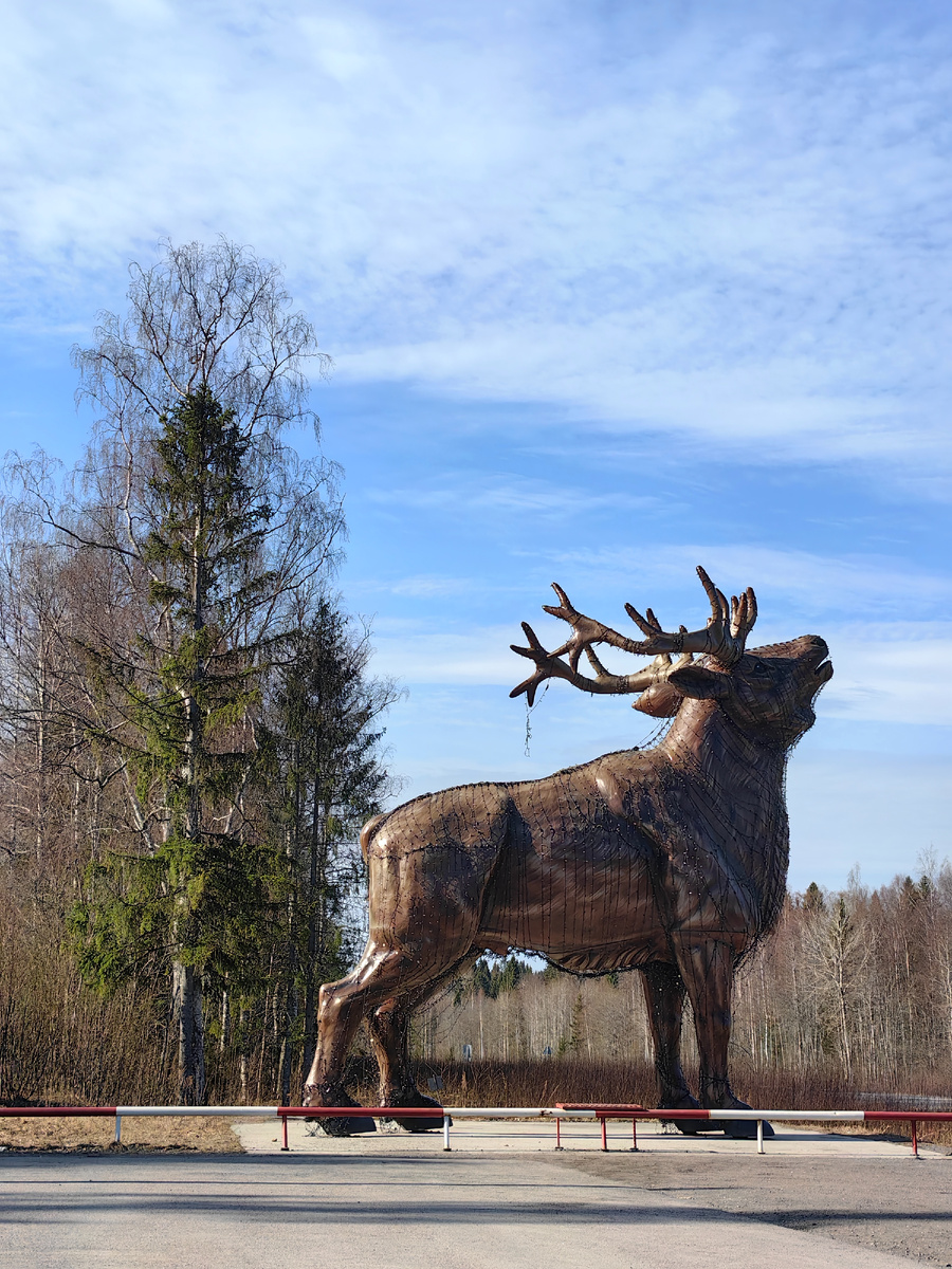 На съезде с трассы к зоопарку нас встретил огромный лось.