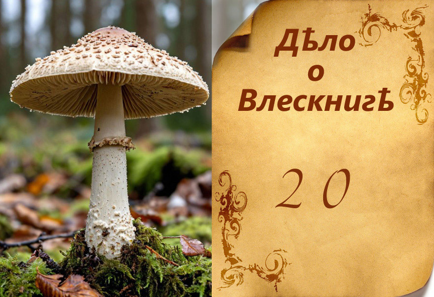 Картинка слева - от Шедеврума.