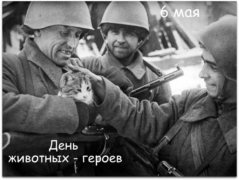Коллаж автора