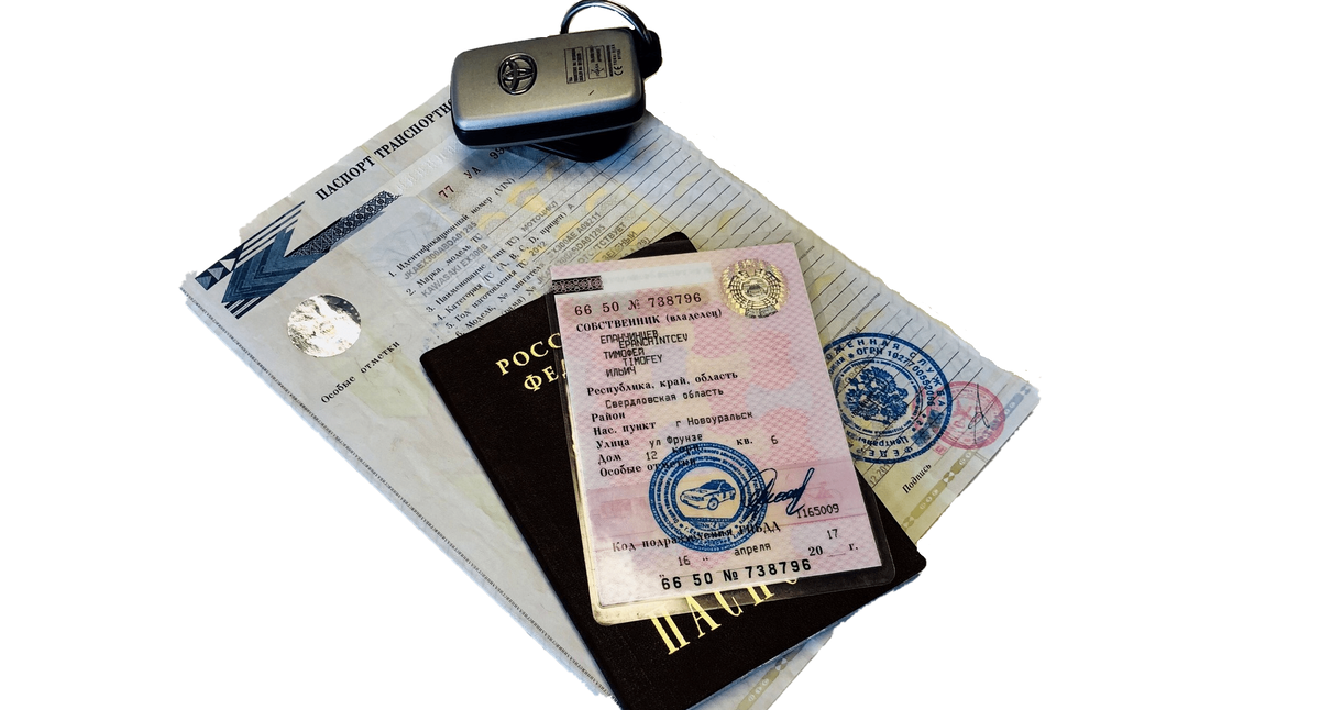 Из свободного источника Яндекс Картинки