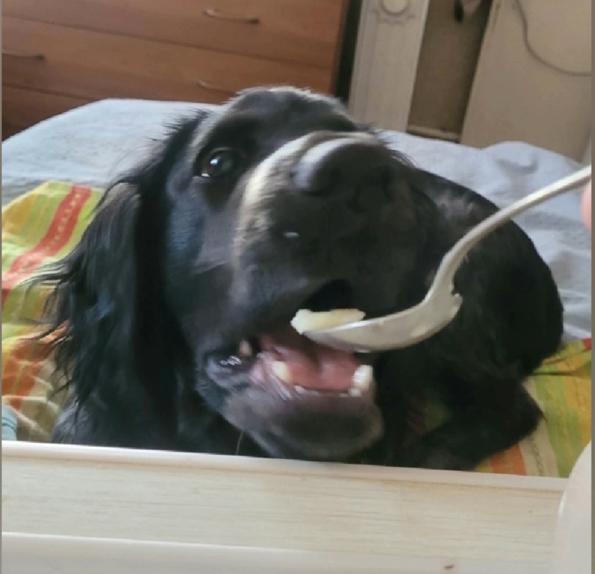 Творчество творчеством, а обед по расписанию