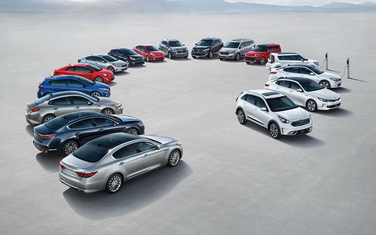 Из свободного источника Яндекс Картинки