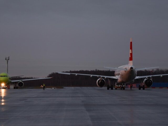    Фото: Москва 24/Никита Симонов