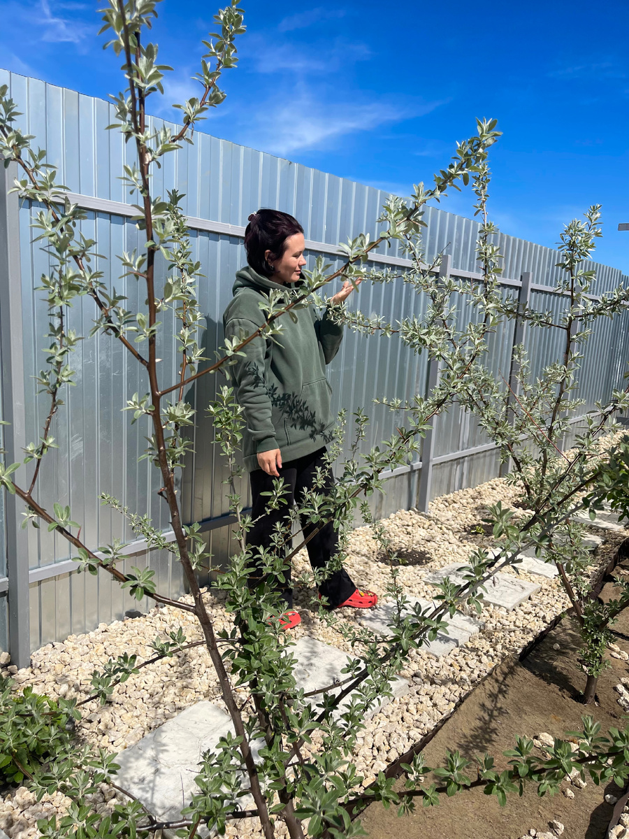 👋👋👋. Фото автора. 