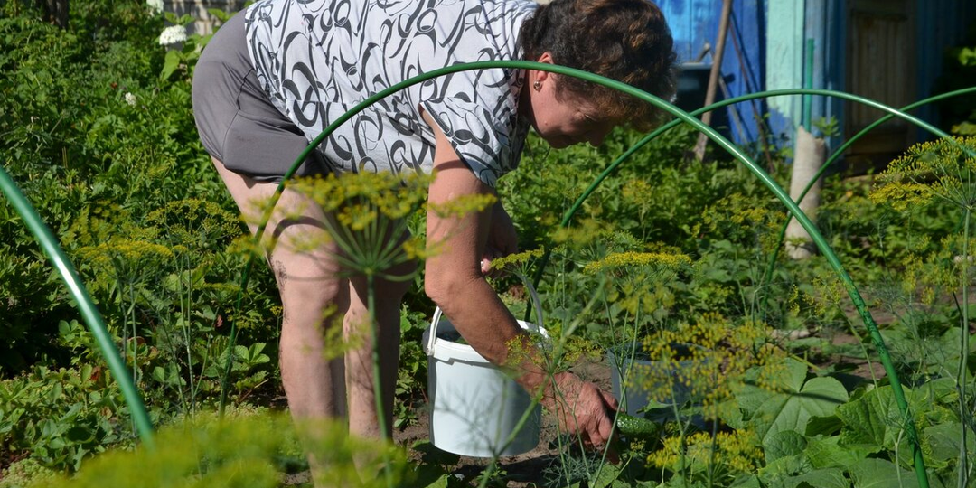 Пенсионерам объявили о новых правилах с 10 мая! Что ждет владельцев участков ?