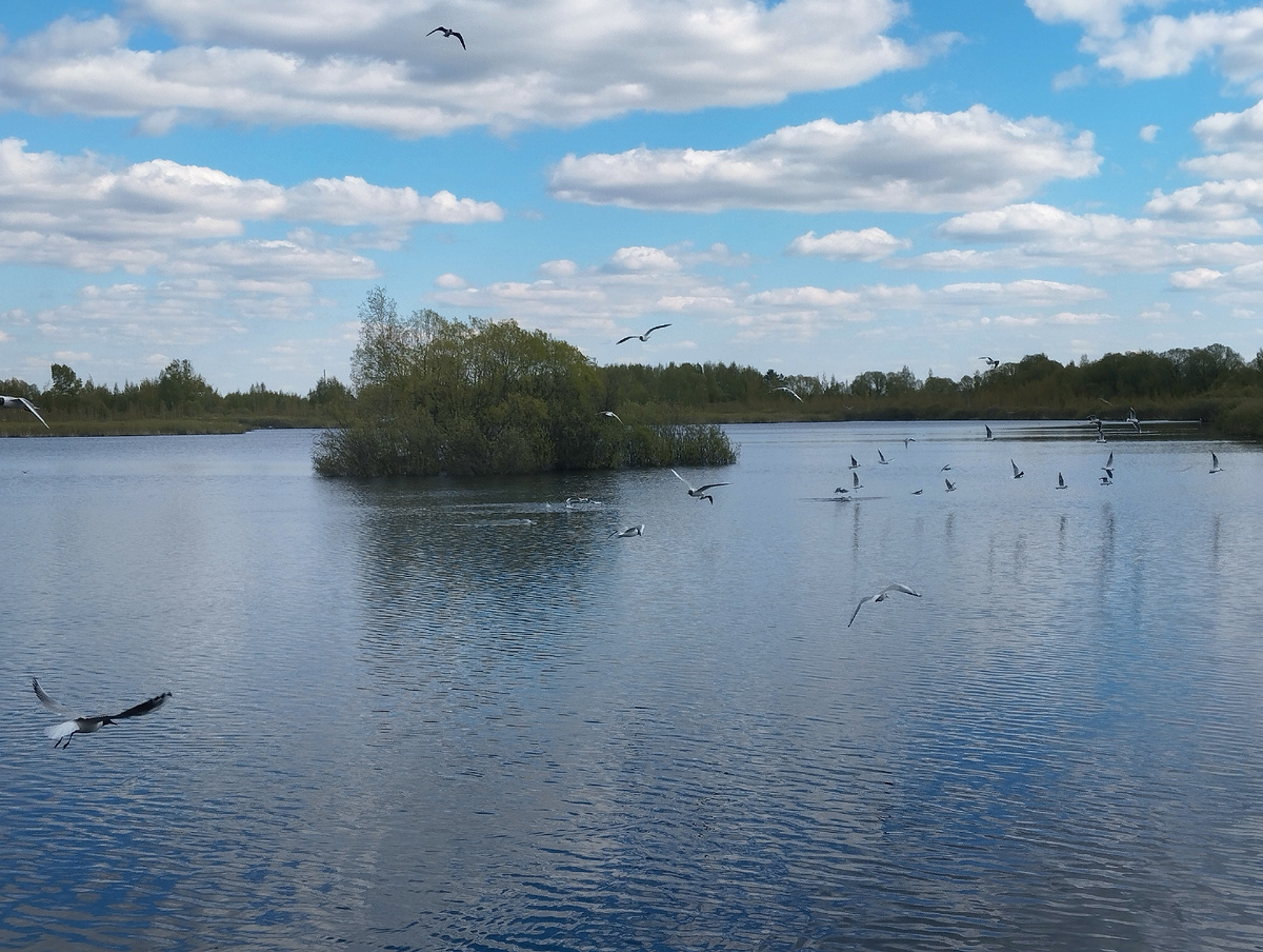 Озеро Киово, город Лобня, Московская область. ЗДЕСЬ и далее фото автора и(или) из личного архива автора, если не указано иначе.