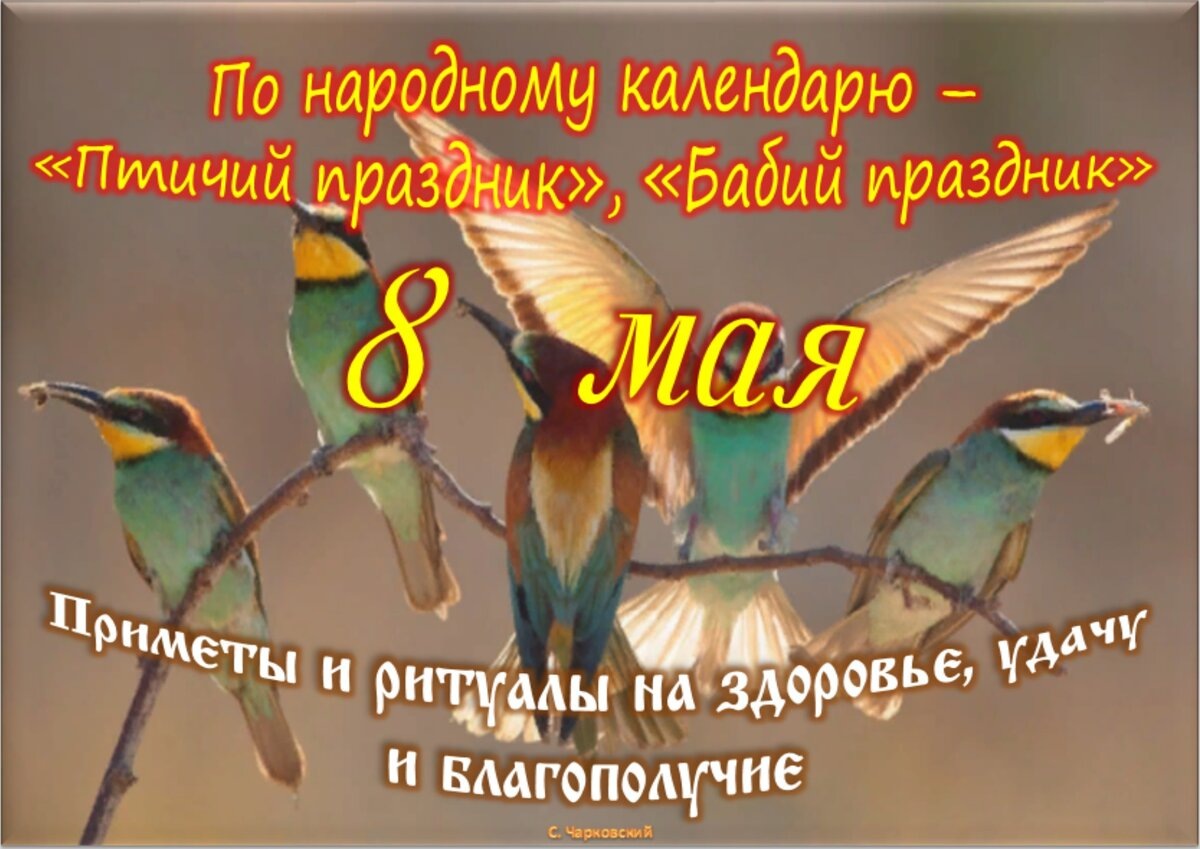 Встречаем новый день