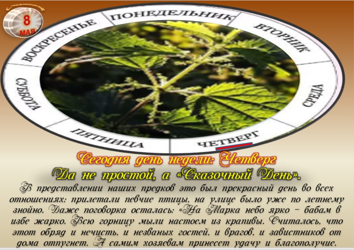 Встречаем новый день