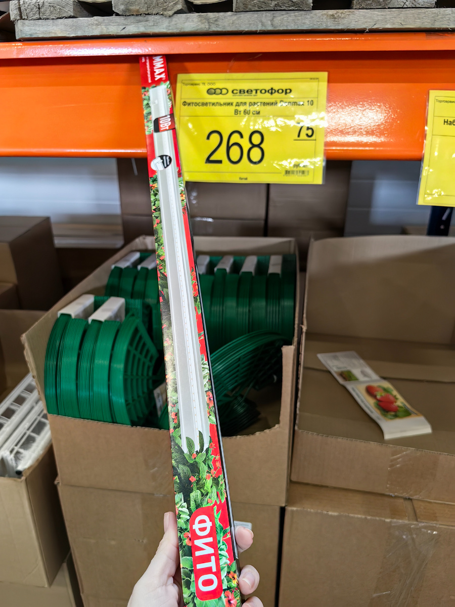 Фитосветильник в магазине Светофор