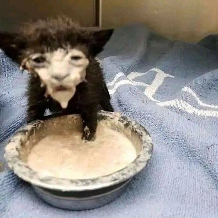 Как выглядит аппарат без промывки