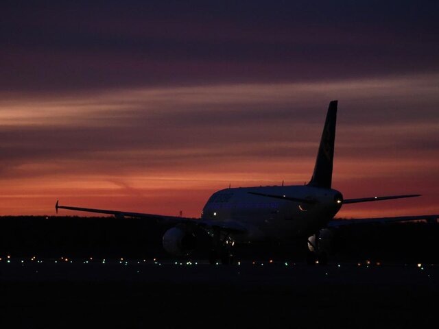    Фото: Москва 24/Никита Симонов