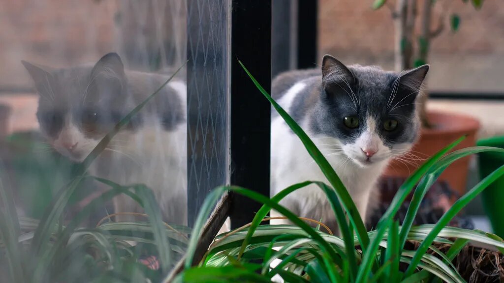 Фото: freepik.com