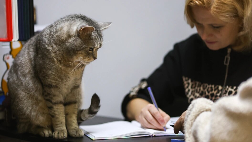    Belkin Alexey/news.ru/Globallookpress