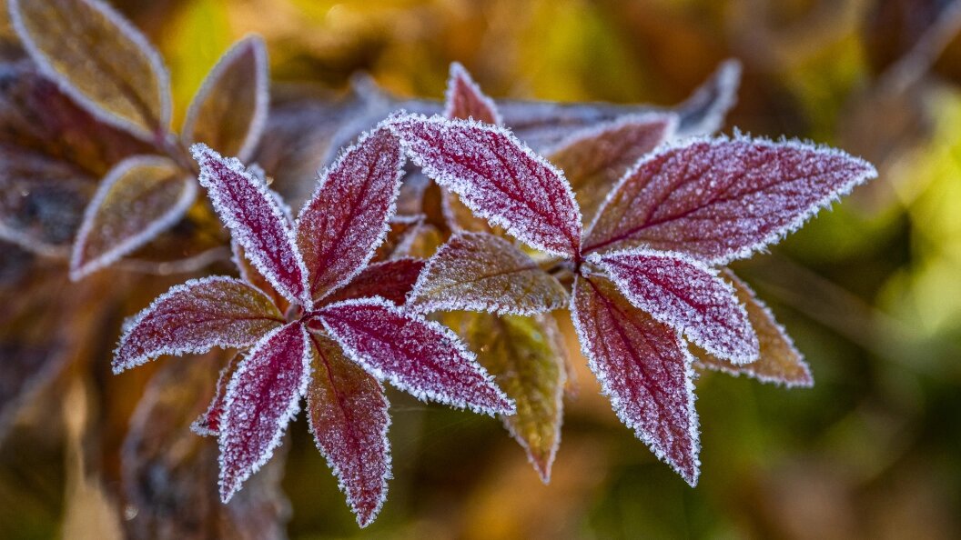    Константин Кокошкин/Global Look Press