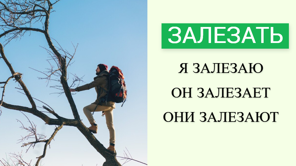   freepik
