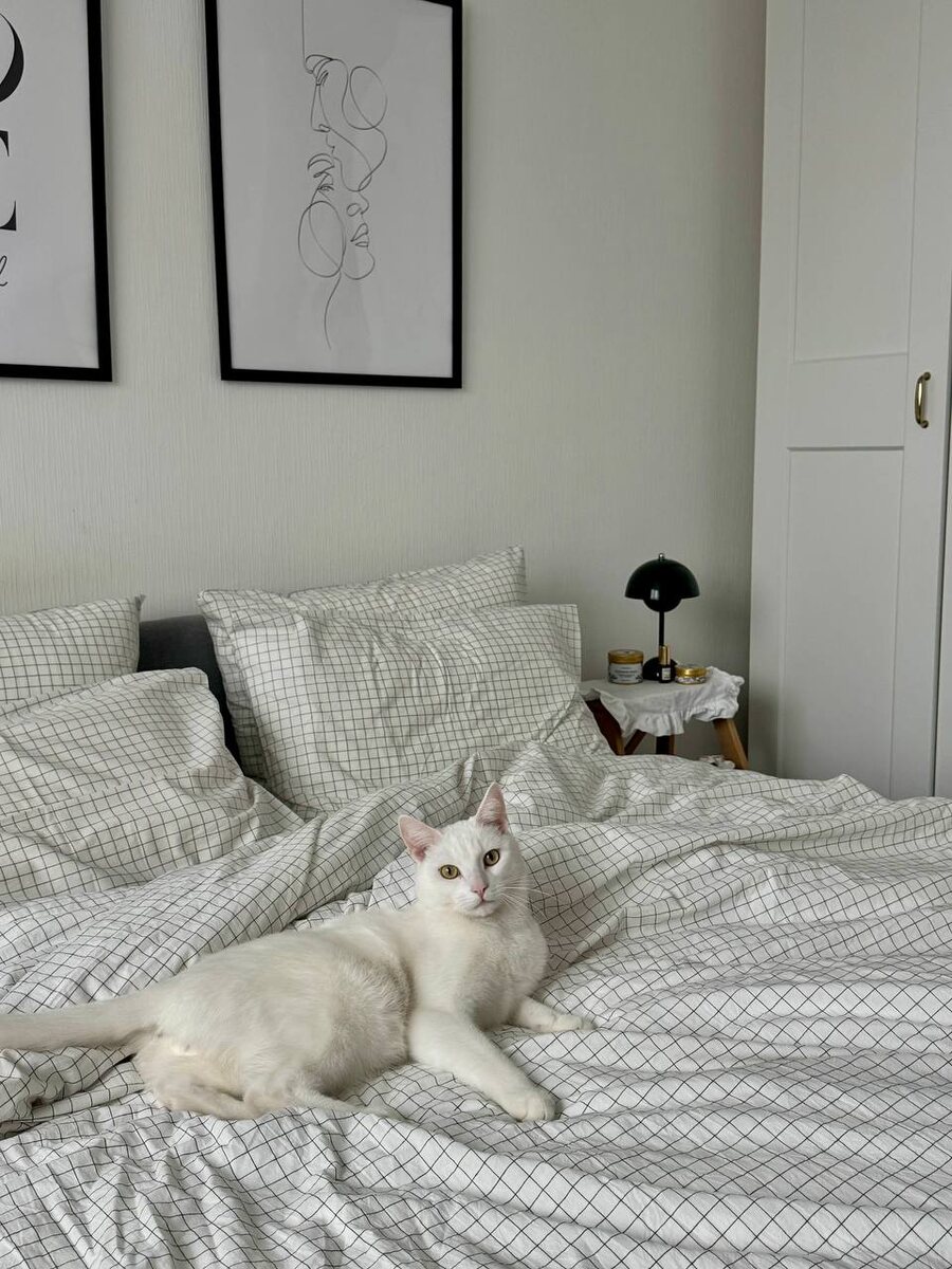 Котик позирует на комплекте из варёного хлопка White Check. Следов шерсти не обнаружено:)