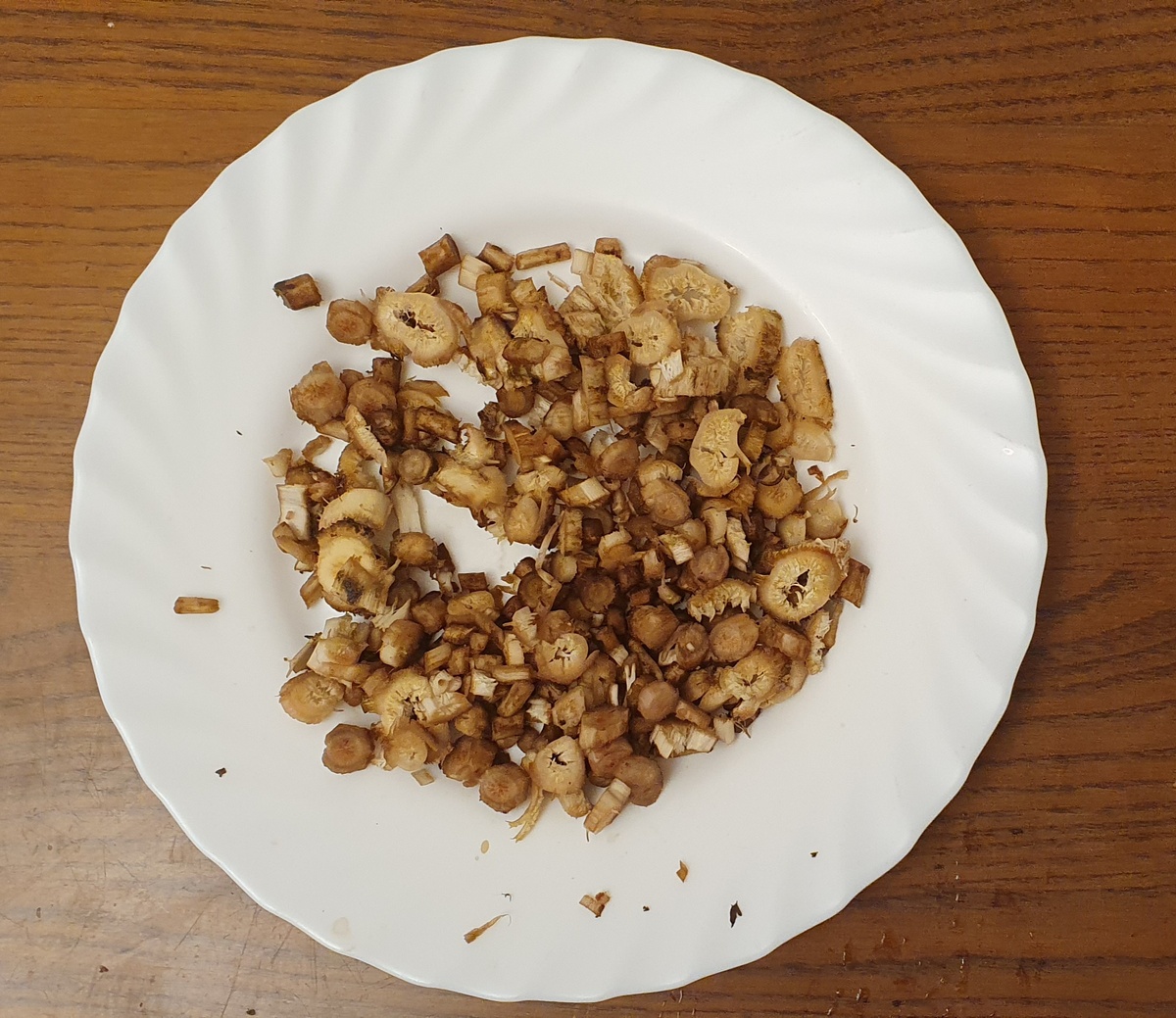 Корни лопуха. Фото автора.