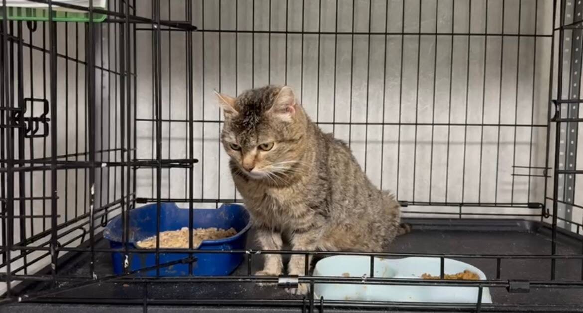 Ася стойко переносила резкое ухудшение самочувствия. Фото из архива автора