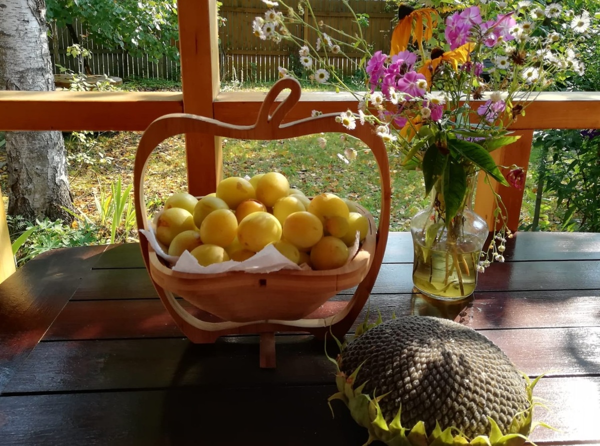 Сладкая слива!