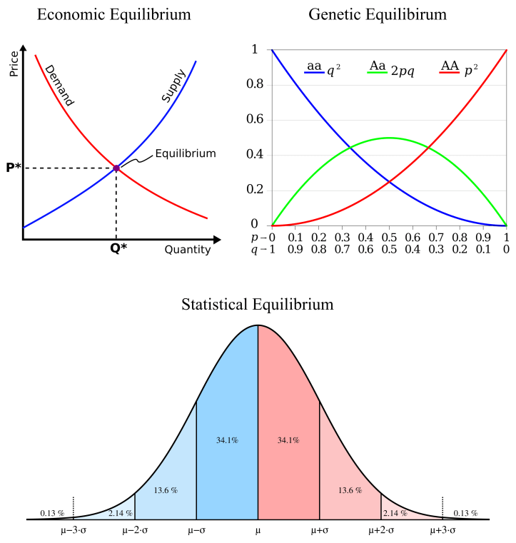 На рисунке - эссенциалистские тотемы в экономике, биологии и статистике, по часовой стрелке слева сверху: неоклассическая модель стремящегося к равновесию рынка; модель генетического равновесия Харди-Вайнберга; и нормальное распределение - "равновесное" поведение бесконечного множества случайных выборок.