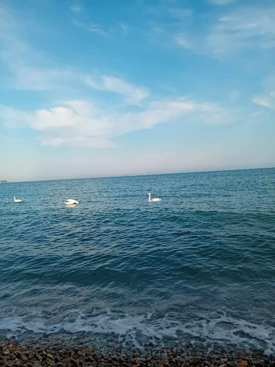 Авторское фото.