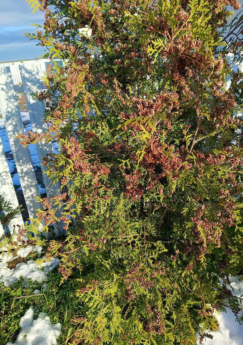 Фото из личного архива автора