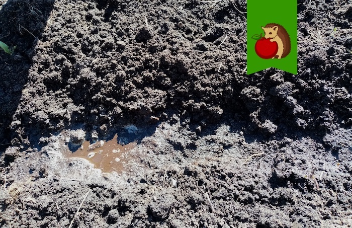 Готовим грядку