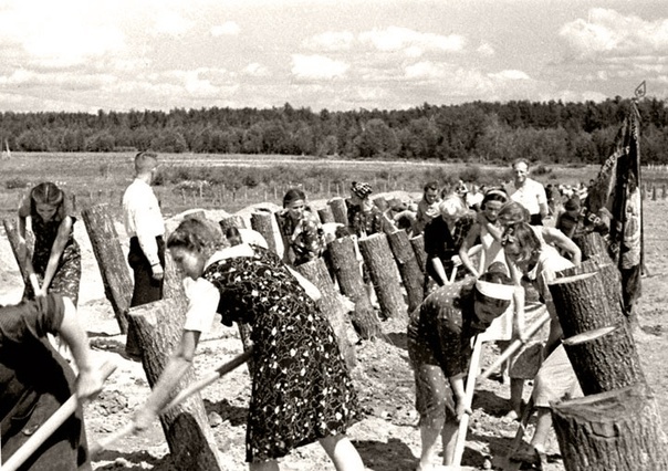Строительство деревянных противотанковых оборонительных сооружений на подступах к Москве. 
1941 г.