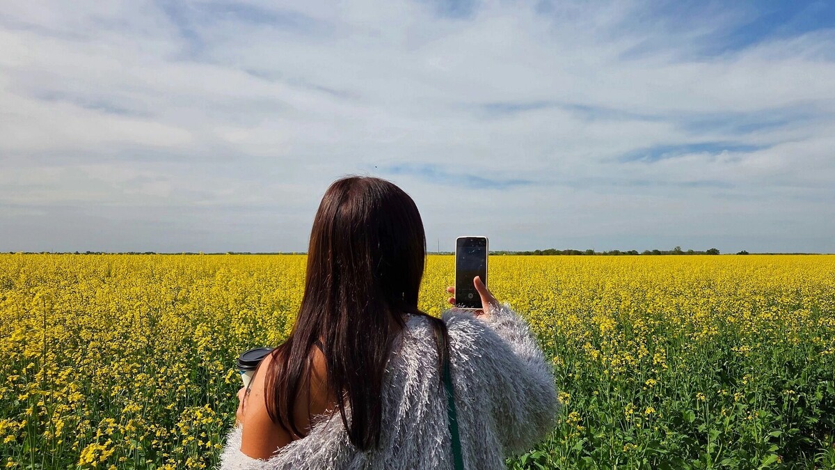     Автор: KubanPress