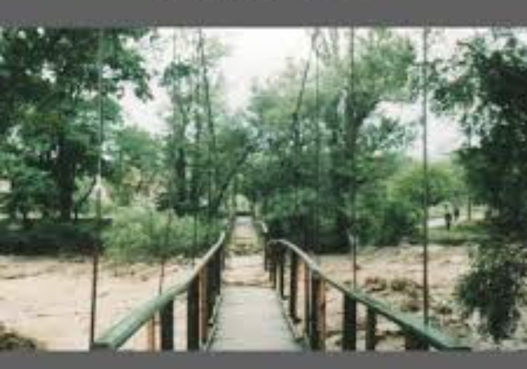 «Это продолжение моего дневника. Глава о возвращении за дочерью, о страхах, материнской интуиции, выживании — и первом большом стихийном испытании. Мысли, как всегда, без прикрас.»